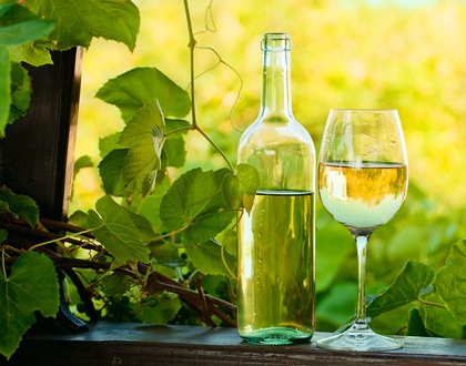 Grauburgunder oder Pinot grigio bester Weissweingenuss bei Vinatis.