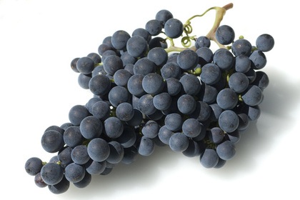 Merlot