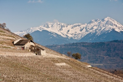 Weine aus der Region Savoyen